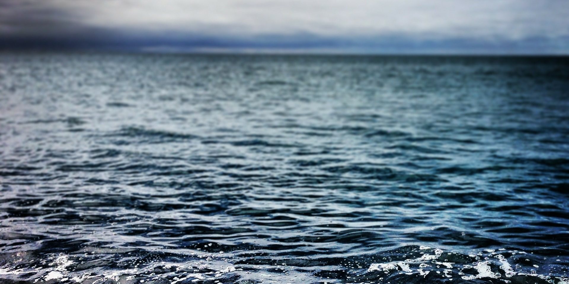 You can find your purpose