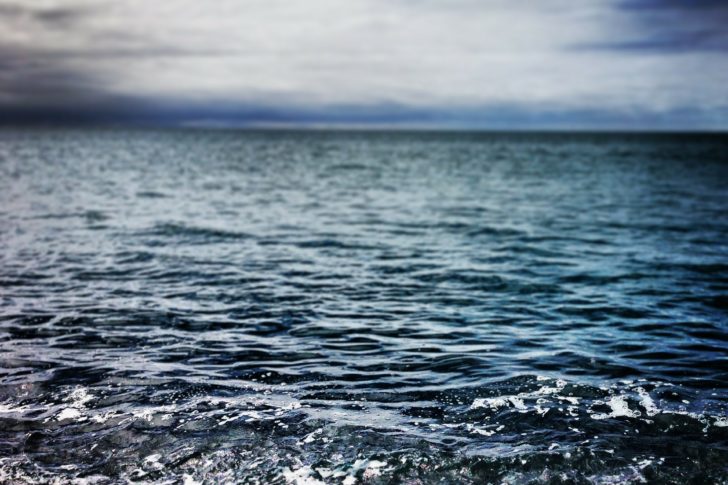 You can find your purpose